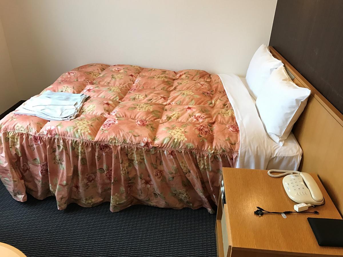 Shin Sayama Hotel Екстер'єр фото